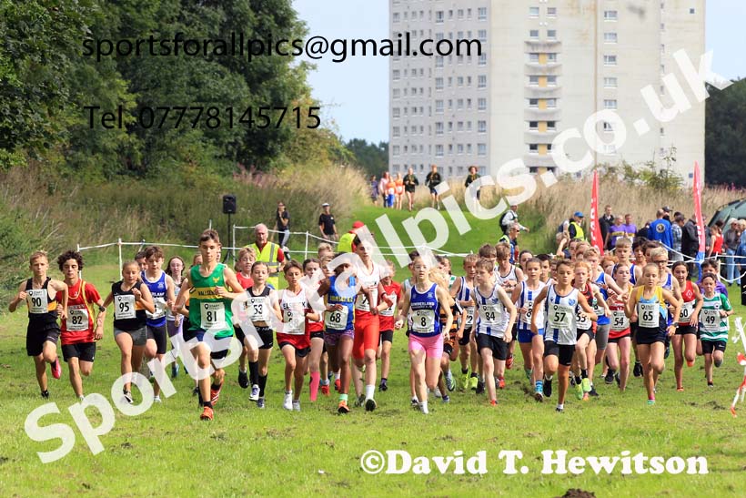 Boys and Girls under-13s, Farringdon Cross Country Relays, Sunderland.  Photo: David T. Hewitson/Sports for All Pics